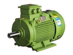 東莞電機(jī)丨高壓電機(jī)滾動(dòng)軸承異常分析圖片|東莞電機(jī)丨高壓電機(jī)滾動(dòng)軸承異常分析產(chǎn)品圖片由東莞電機(jī)廠公司生產(chǎn)提供-