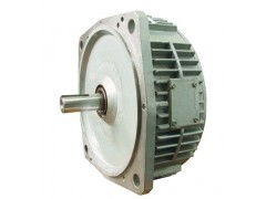 特殊電機(jī)生產(chǎn)廠家